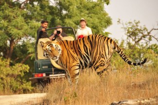 golden triangle with ranthambore rajasthan tour